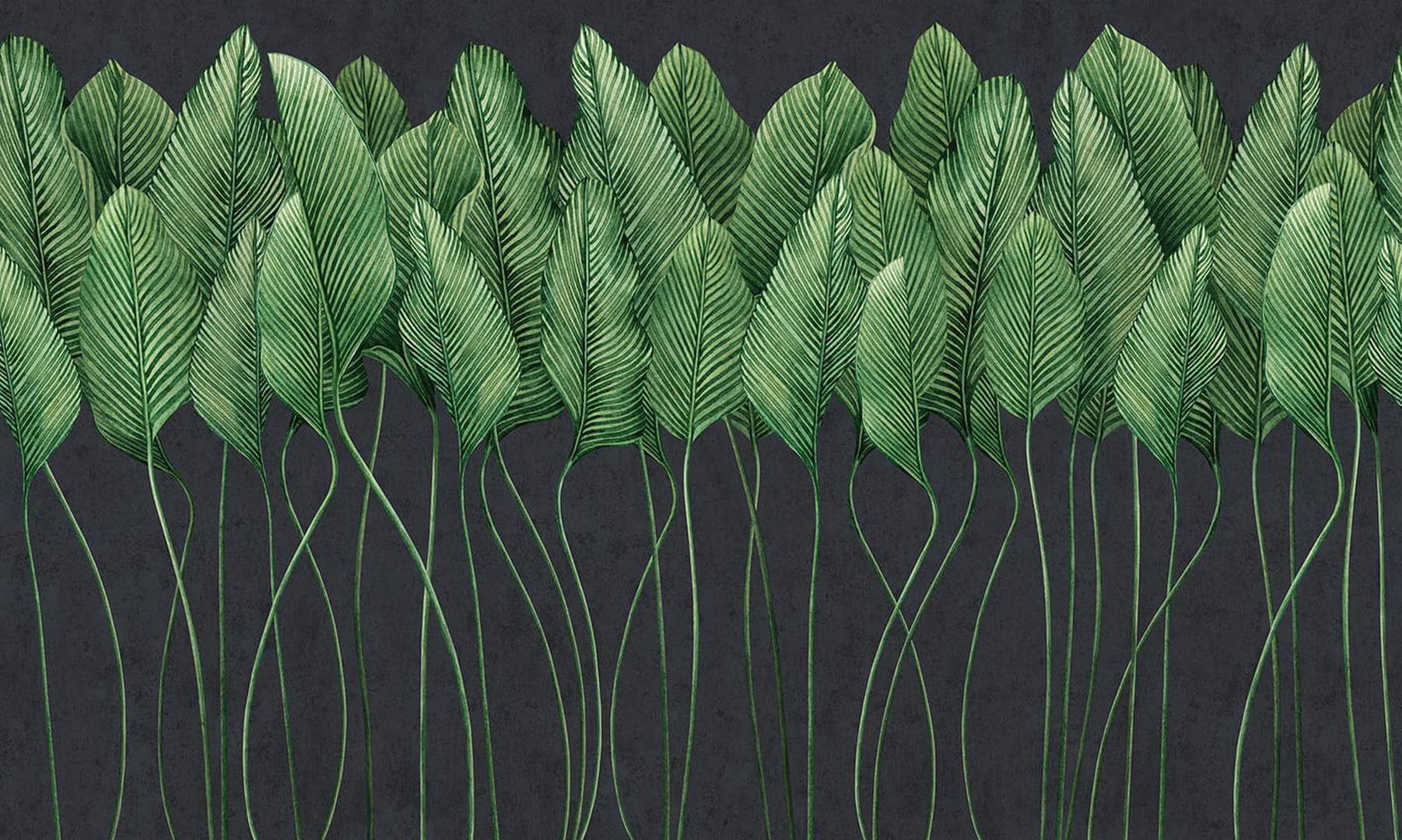 Fototapeta One Wall Design VES 190328-3 SAPENZIE