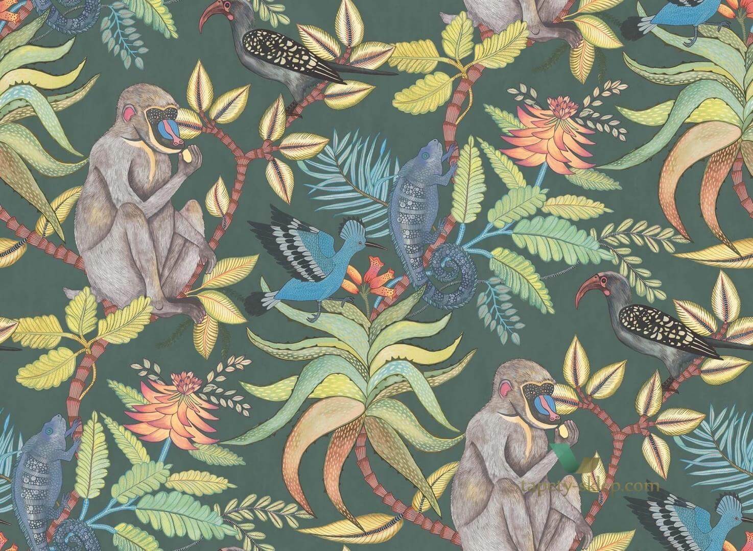 Tapeta Egzotyczna Małpy Ptaki 109/1006 Savuti Cole&Son