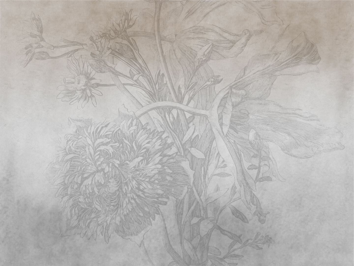 Fototapeta cieniowane kwiaty WallArt Grey Ombre Flower