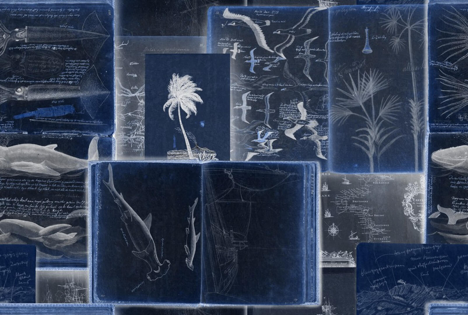 Tapeta Marynistyczna Mind The Gap SEAMANS JOURNAL indigo WP20561 Sundance Villa Complementary