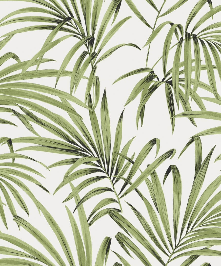 Tapeta Palmy Khroma LOT103 Palm Lotus