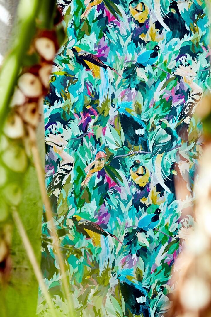 Tapeta Ptaki Harlequin Dance Of Adornment 112763 Colour I