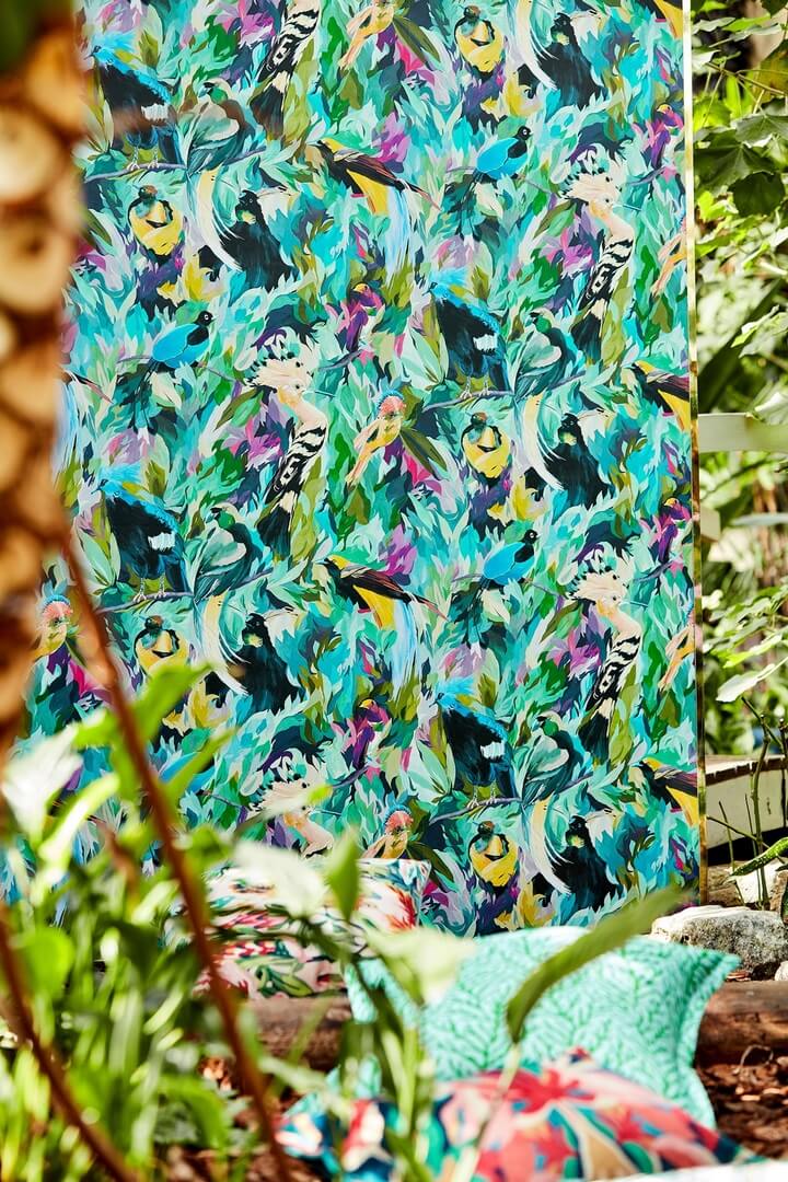 Tapeta Ptaki Harlequin Dance Of Adornment 112763 Colour I