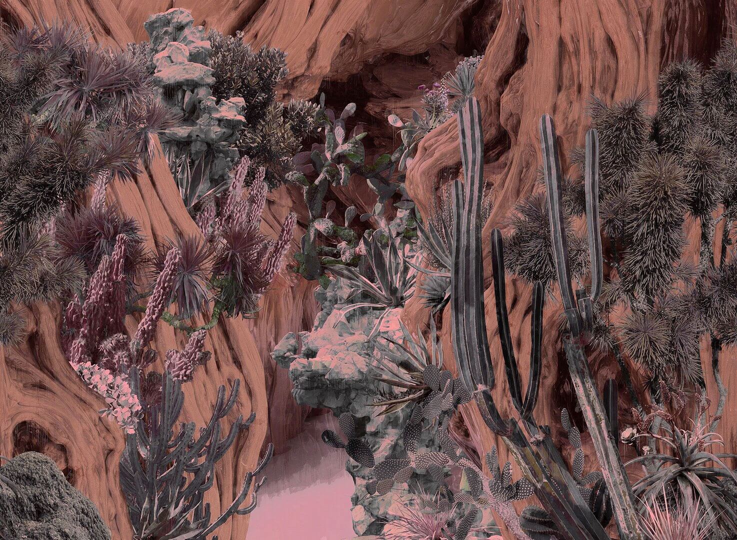 Fototapeta Botaniczna London Art 21010 01 Navajo Dreamh Exclusive Wallpaper 2021