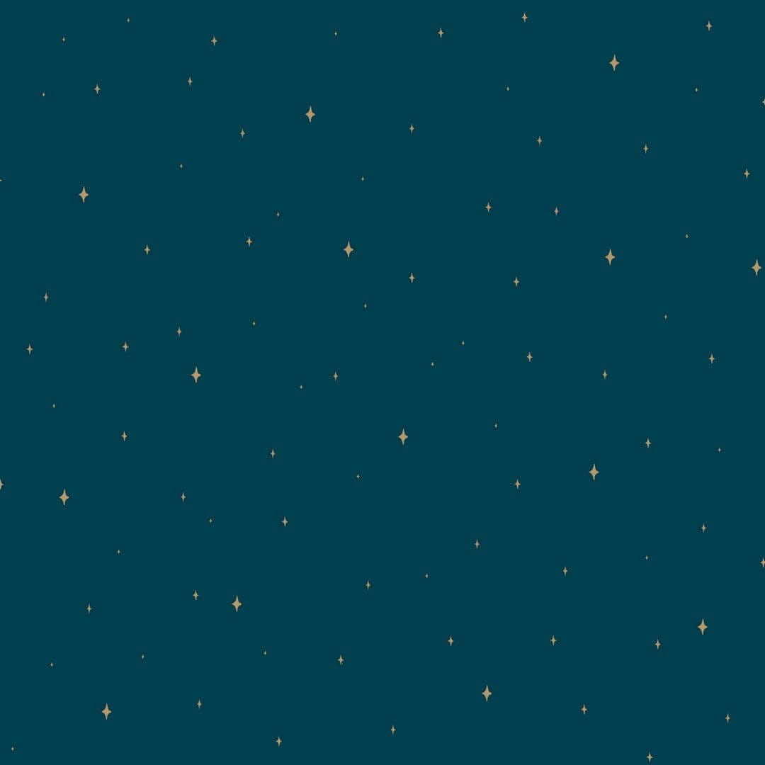 Tapeta w gwiazdki Caselio FRT102966645 Under The Stars La Foret