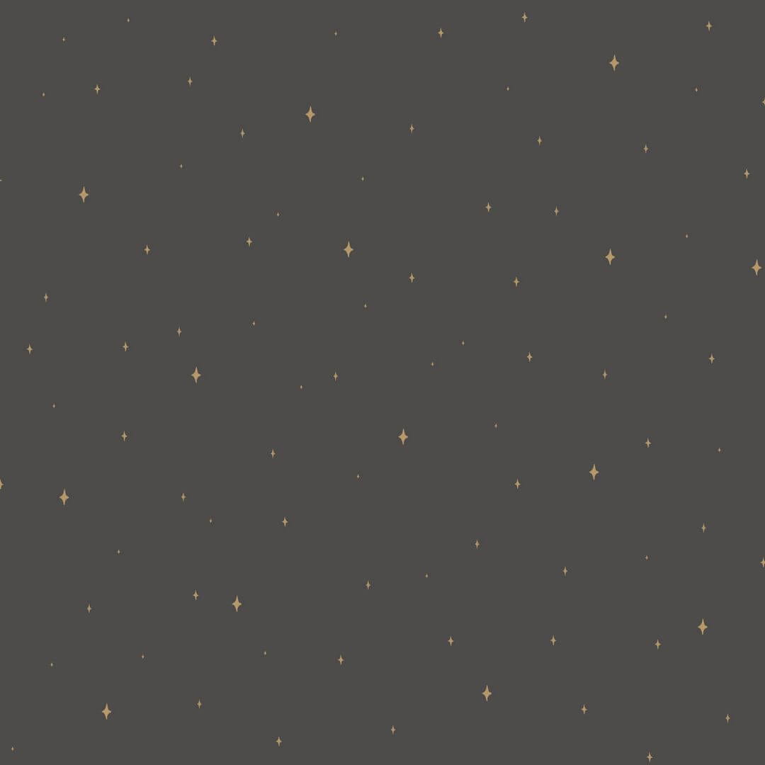 Tapeta w gwiazdki Caselio FRT102969983 Under The Stars La Foret