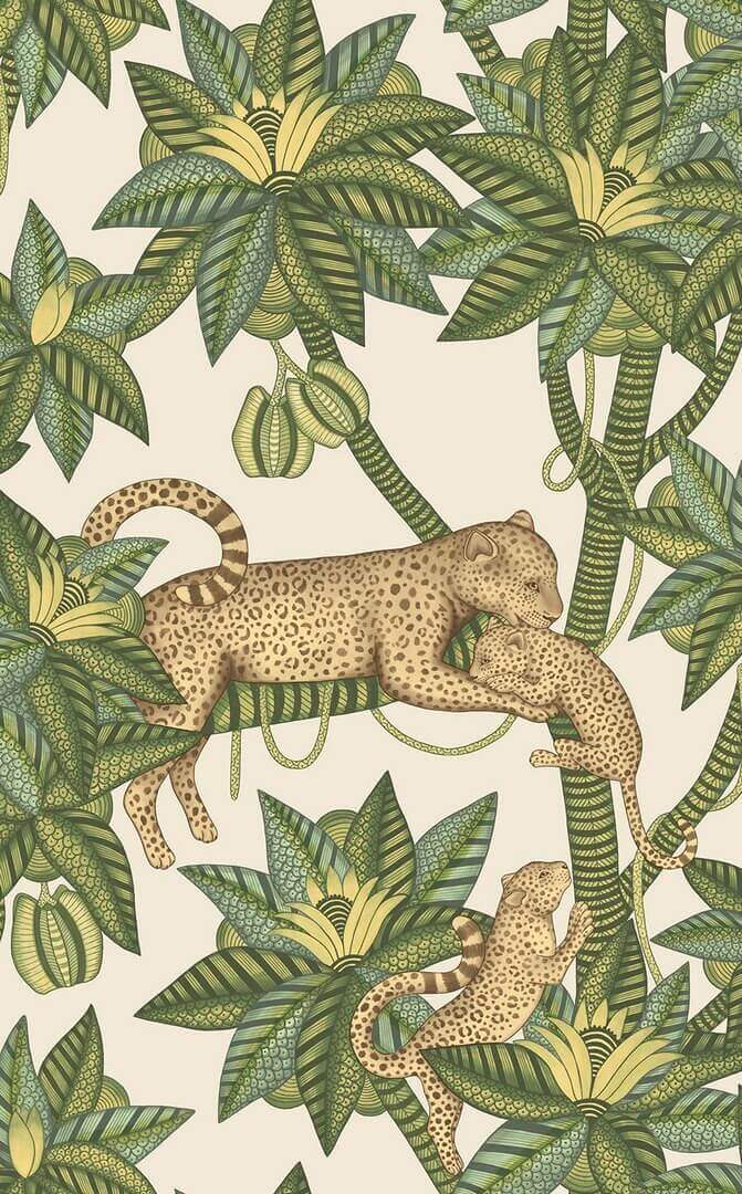 Tapeta Egzotyczna Lamparty Cole & Son 119/3015 Satara Ardmore Jabula