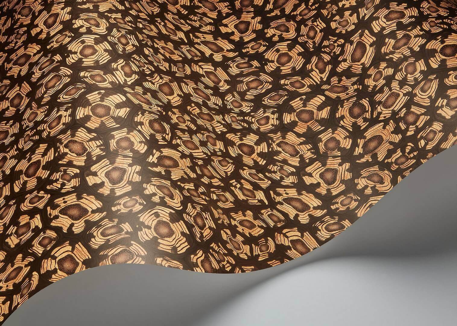 Tapeta w cętki Cole & Son 119/4019 Savanna Shell Ardmore Jabula