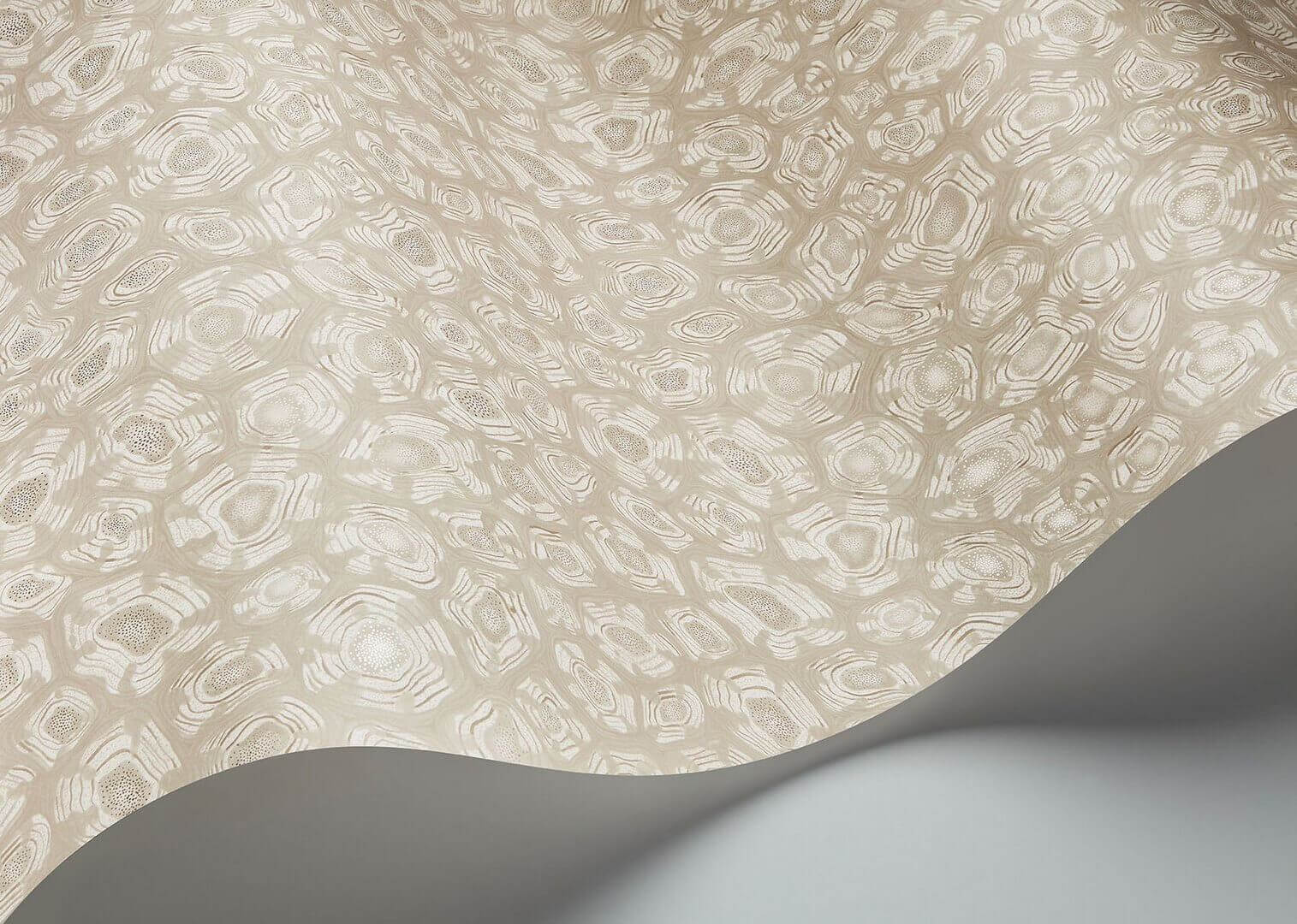 Tapeta w cętki Cole & Son 119/4021 Savanna Shell Ardmore Jabula