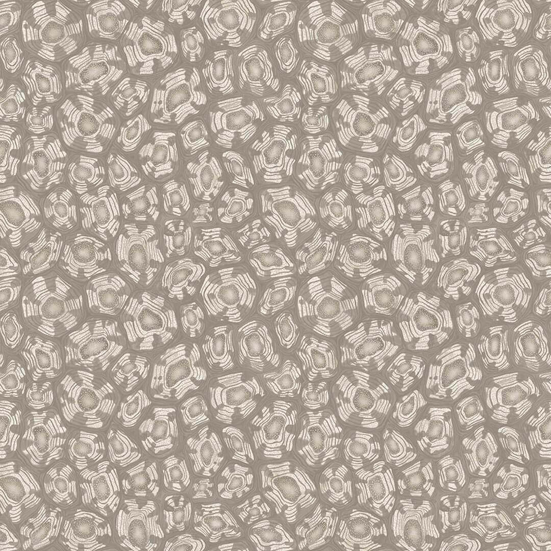 Tapeta w cętki Cole & Son 119/4022 Savanna Shell Ardmore Jabula