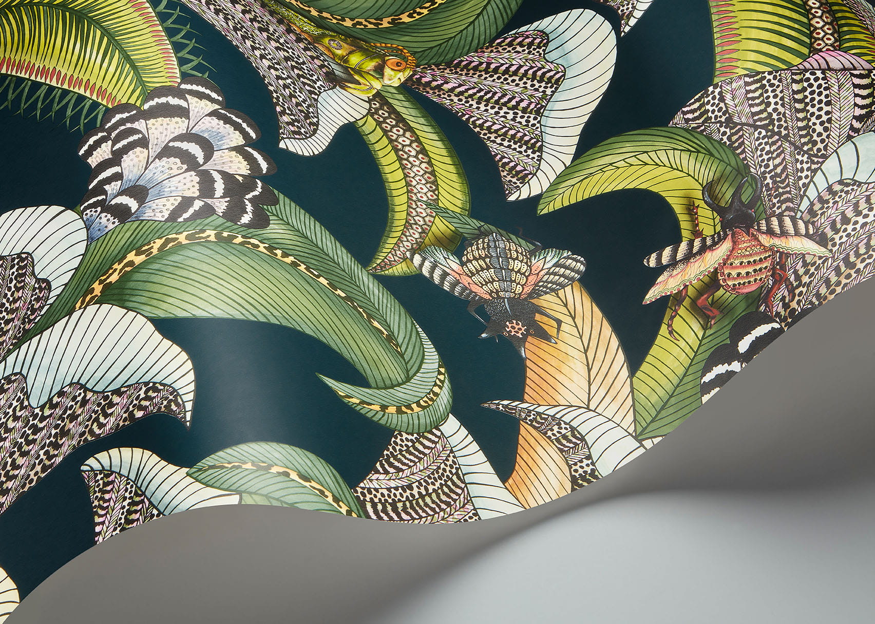 Tapeta w liście i owady Cole & Son 119/1007 Hoopoe Leaves  Ardmore Jabula