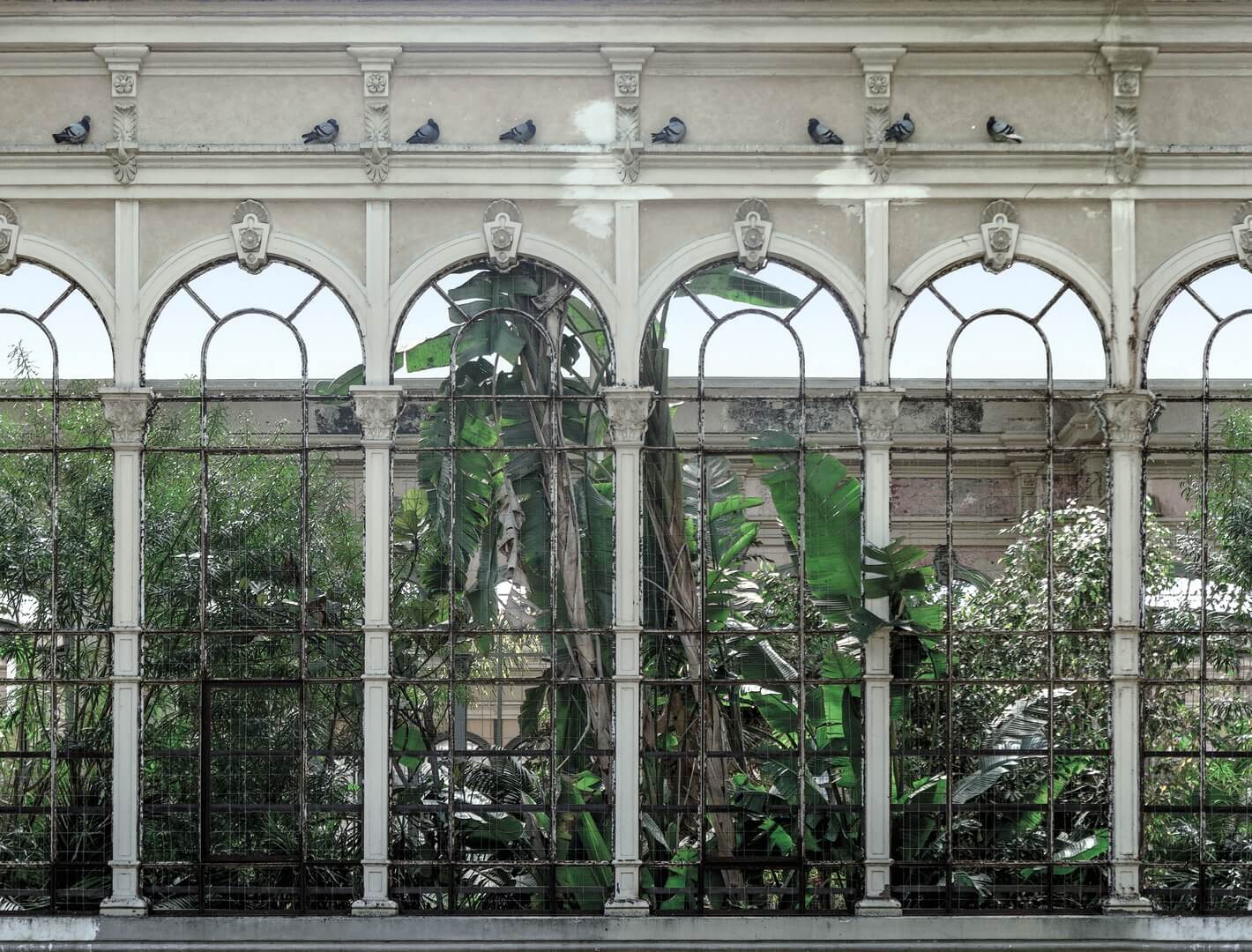 Fototapeta architektura i roślinność Rebel Walls R16261 Dove Gardens Scenery