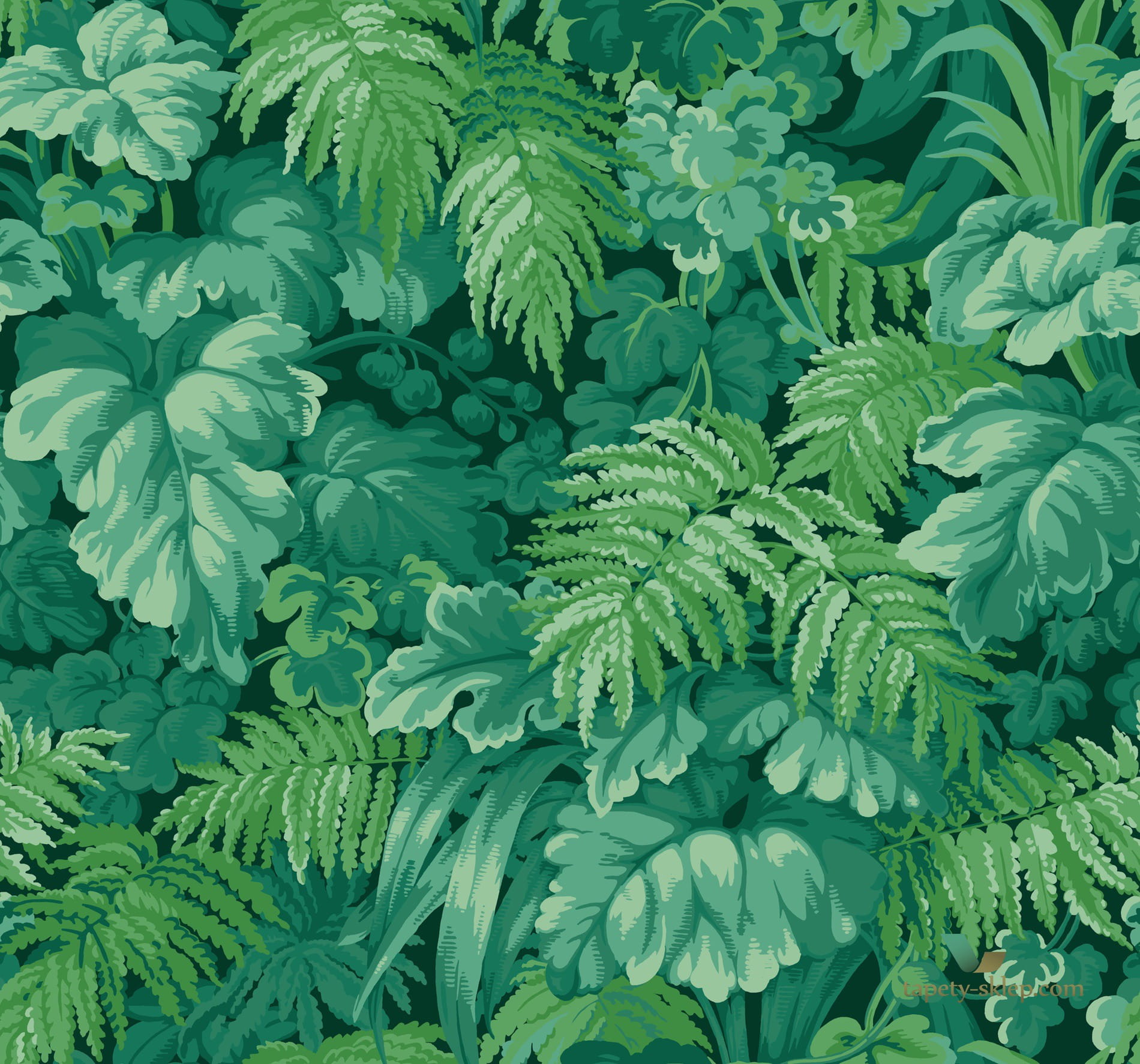 Tapeta Cole & Son Royal Fernery 113/3009 Martyn Bullard Lawrence