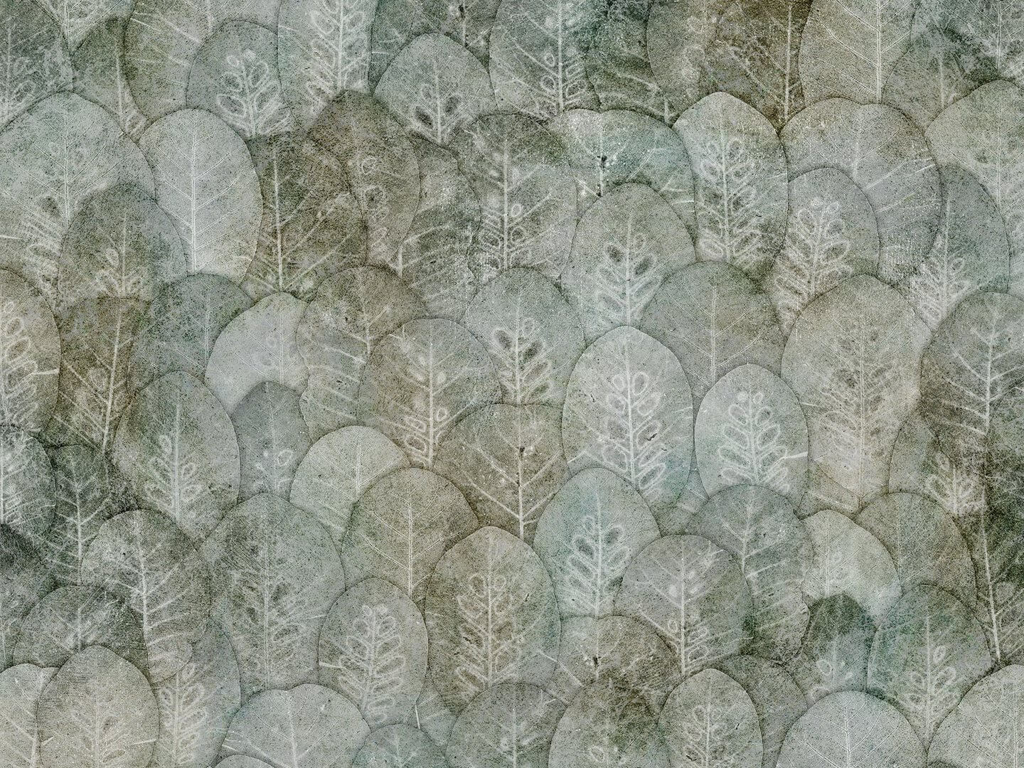 Fototapeta liście Wallcraft Iberis 410312101