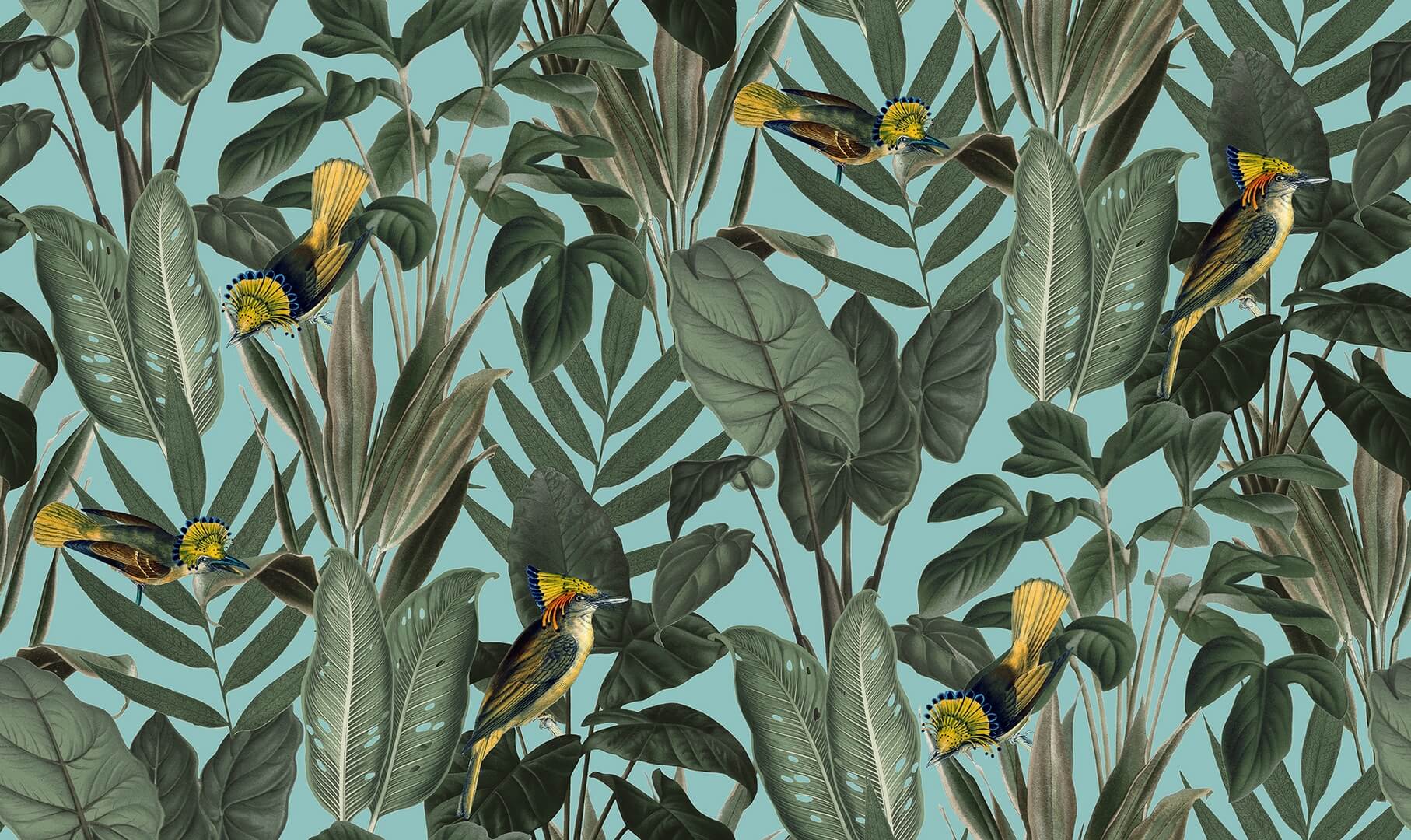 Tapeta rośliny i ptaki Rebel Walls R18563 Birds of Paradise Lush Green Pops