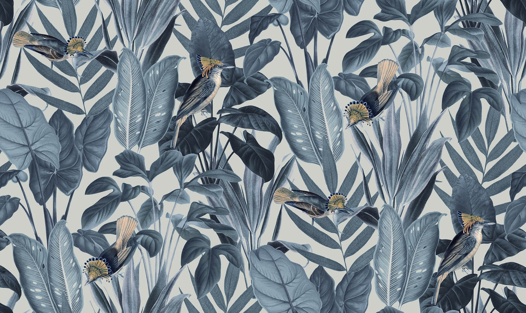 Tapeta rośliny i ptaki Rebel Walls R18564 Birds of Paradise Nightfall Pops