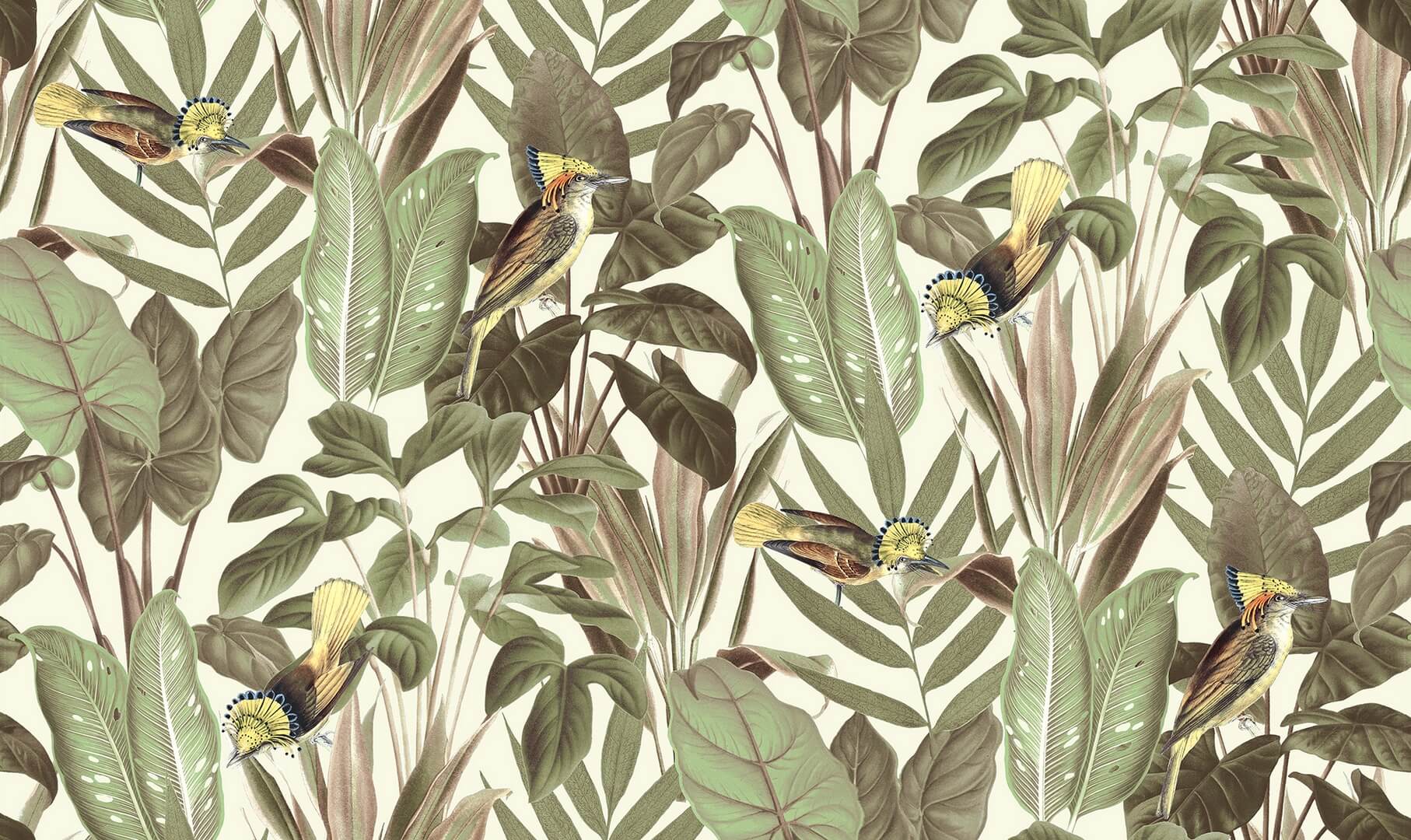 Tapeta rośliny i ptaki Rebel Walls R18565 Birds of Paradise Bright Dawn Pops