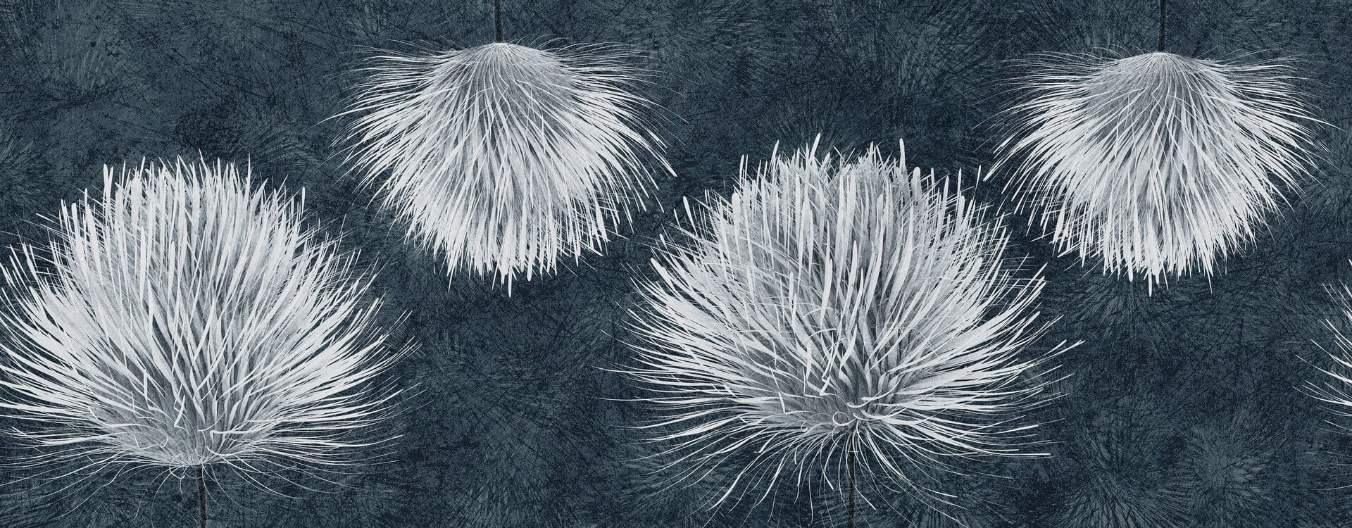 Tapeta kwiaty ostu Inkiostro Bianco CARDUUS INKUDAR2201 Light And Shadows