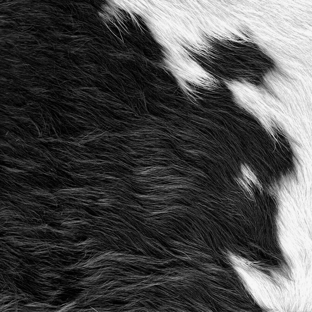 Fototapeta geometryczna sierść bydlęca Origin 357241 Luxury Skins