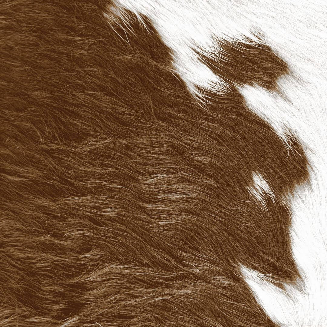 Fototapeta geometryczna sierść bydlęca Origin 357242 Luxury Skins