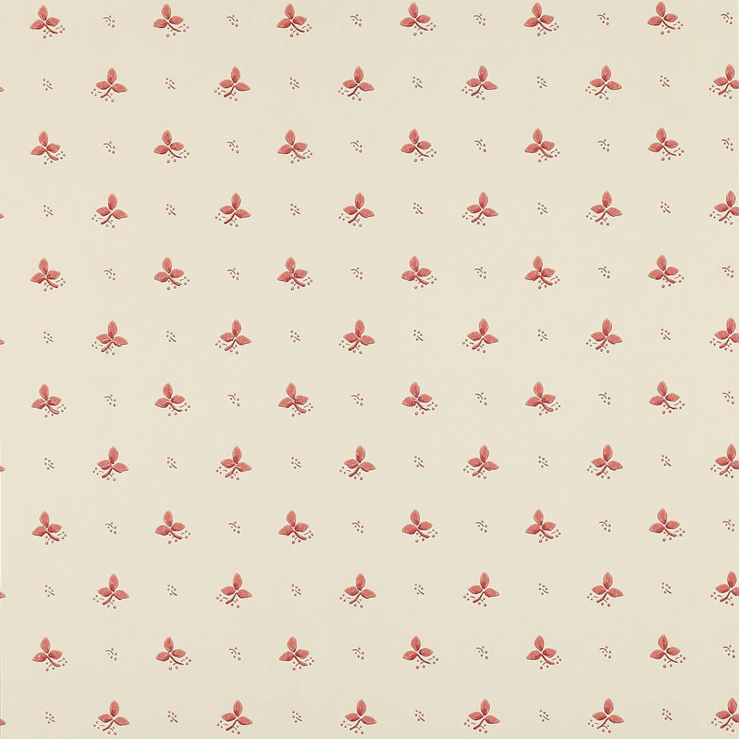 Tapeta drobne listki Colefax and Fowler 07406/04 Ashling Small Design Wallpapers II