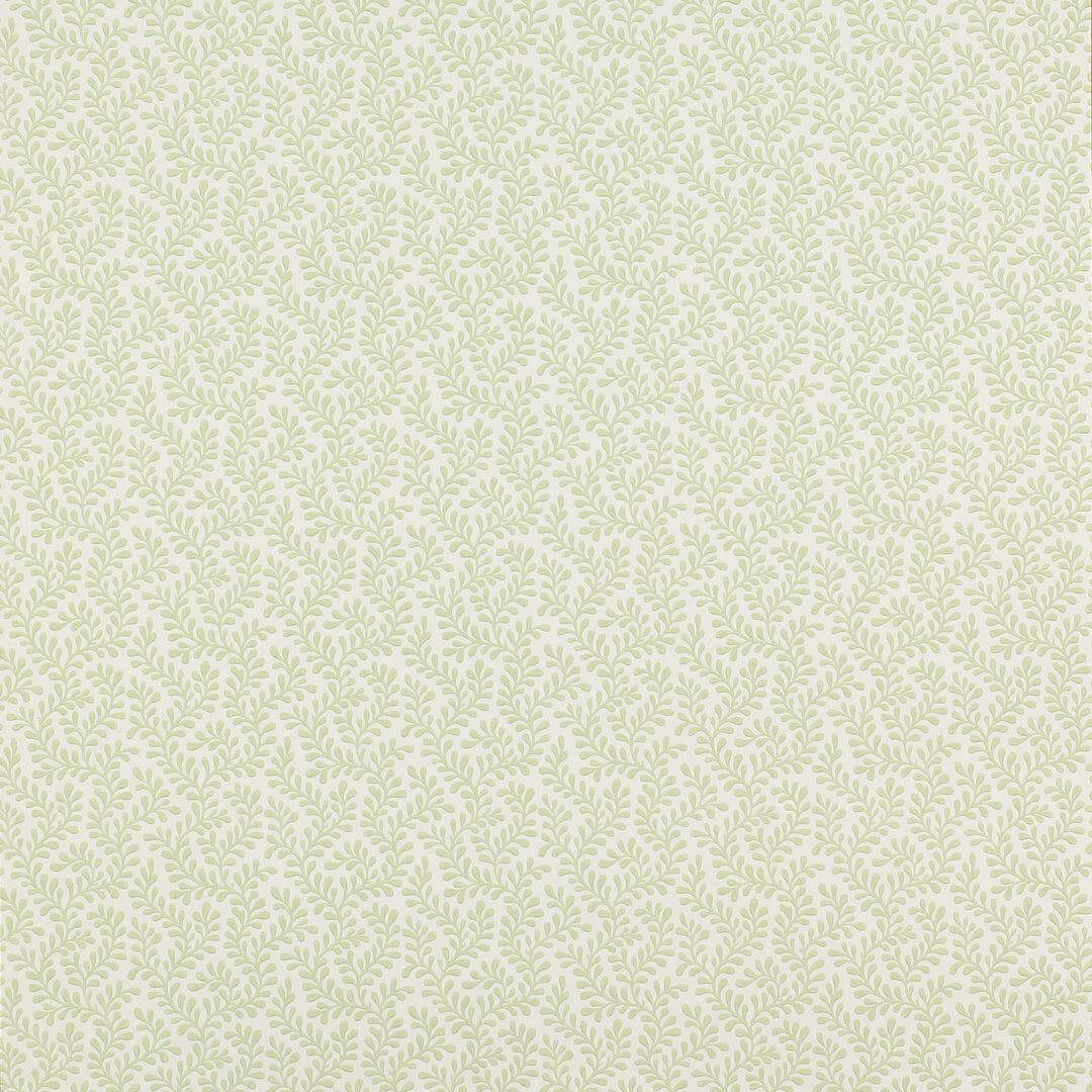 Tapeta koralowce Colefax and Fowler 07985/04 Rushmere Small Design Wallpapers II
