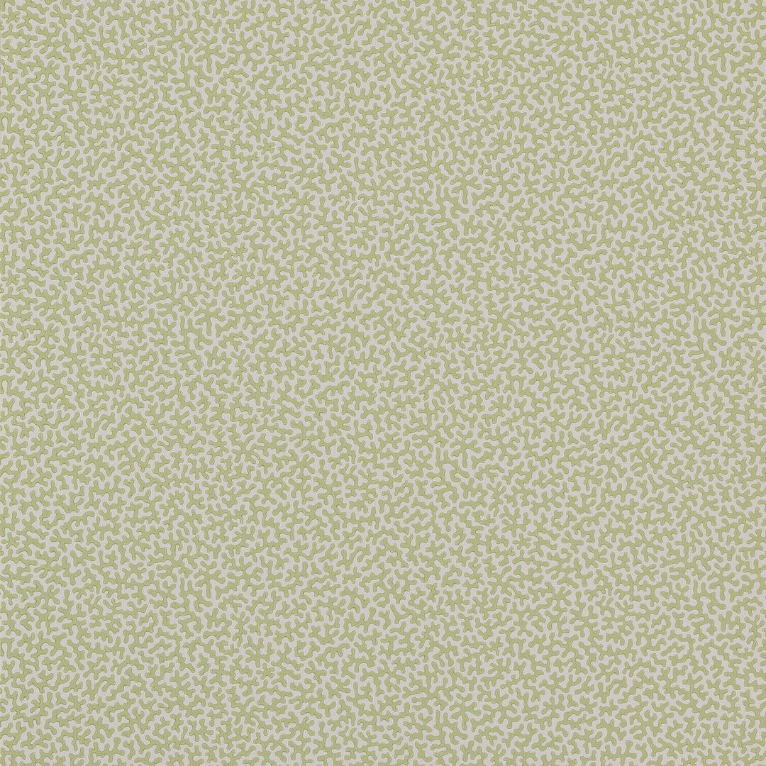 Tapeta koralowce Colefax and Fowler W7014-03 Wendle Small Design Wallpapers II