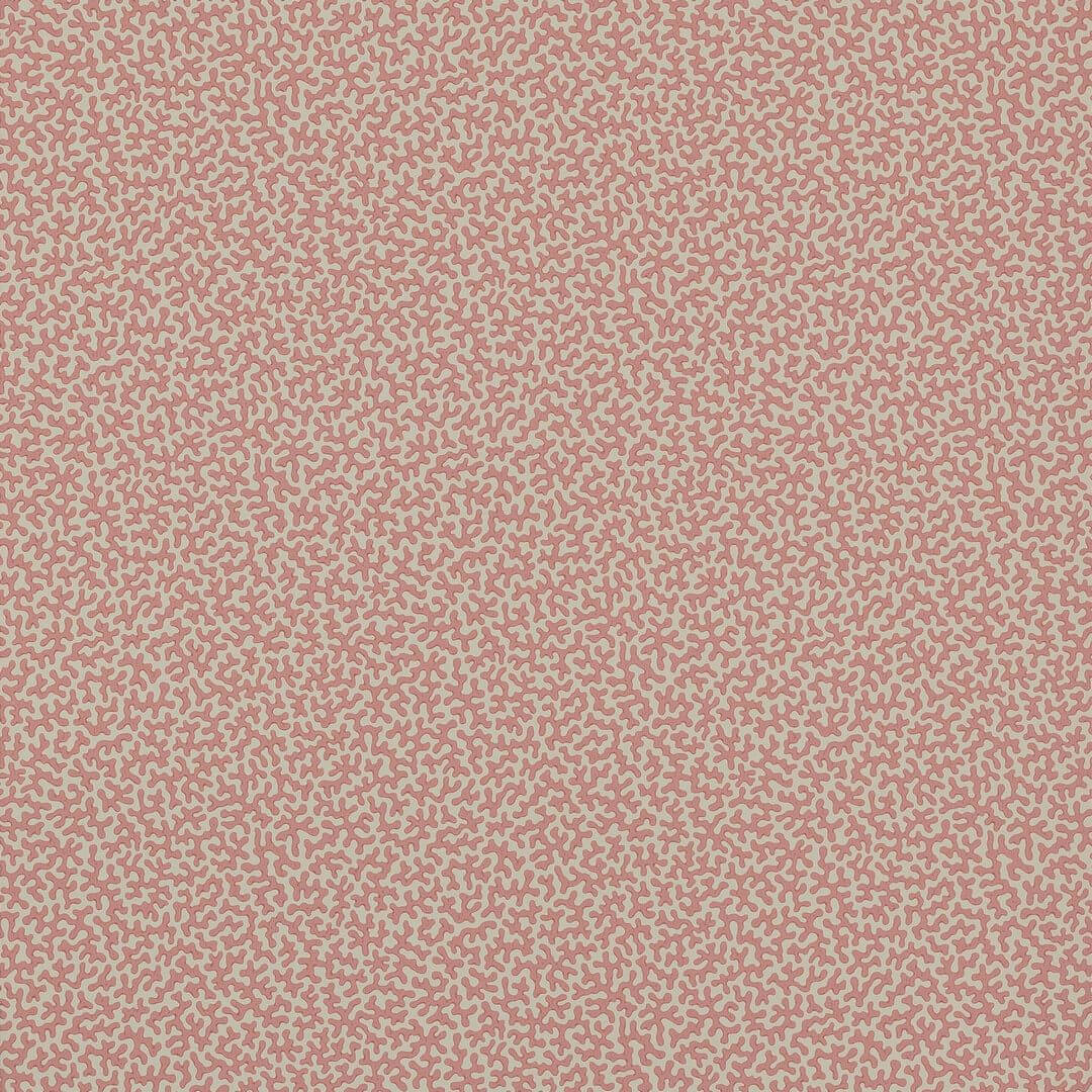 Tapeta koralowce Colefax and Fowler W7014-05 Wendle Small Design Wallpapers II