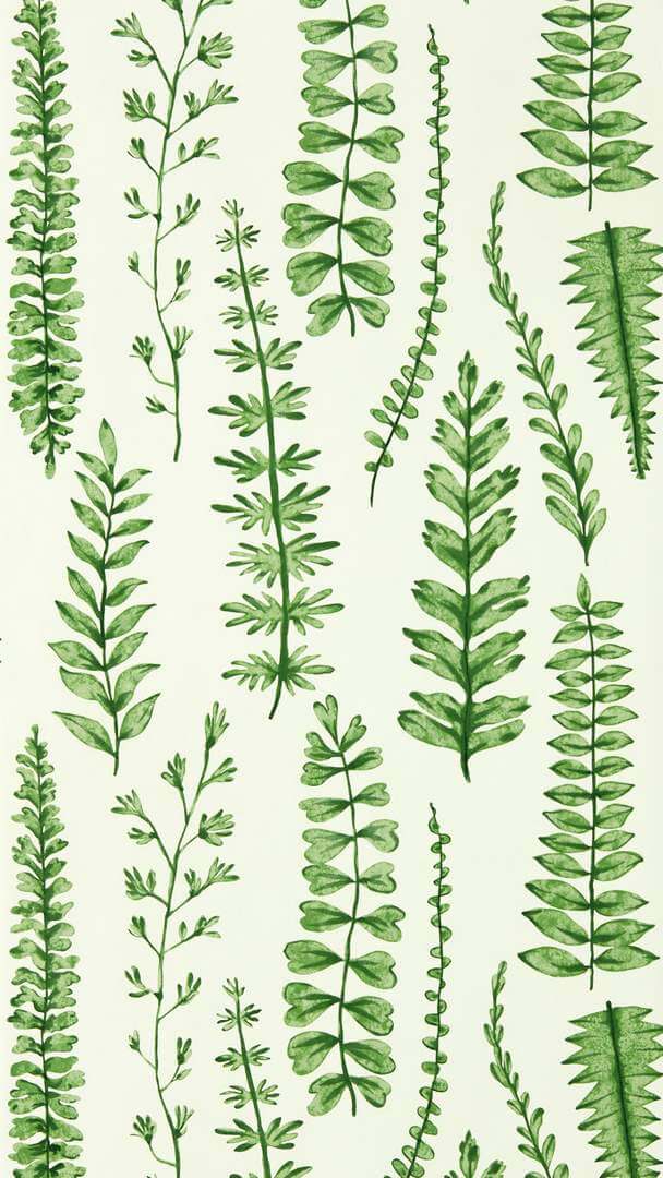Tapeta liście paproci Scion 112798 Ferns Garden of Eden