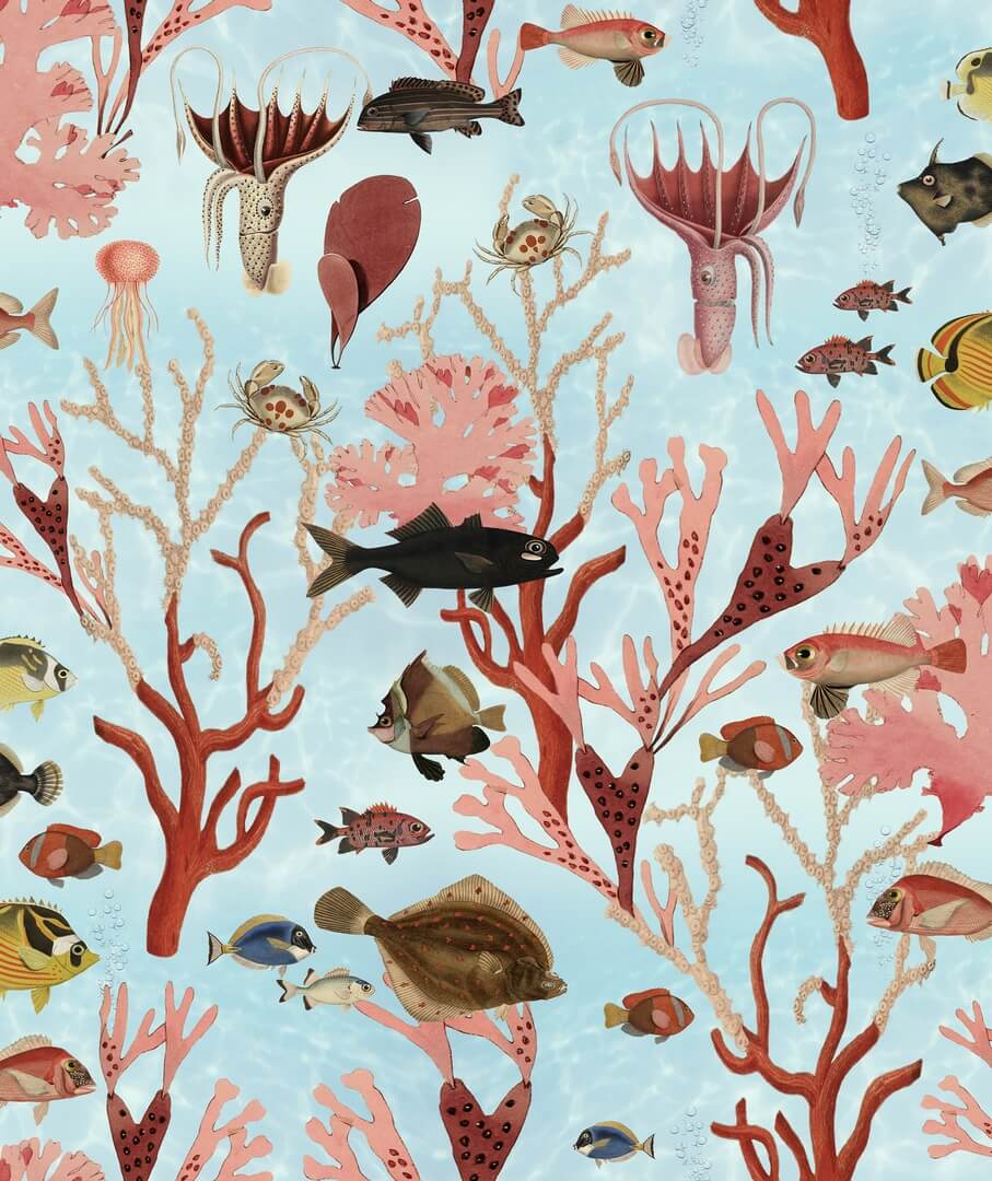 Tapeta zwierzęta morskie Rebel Walls R18031 Aquarium Mint Dreamland