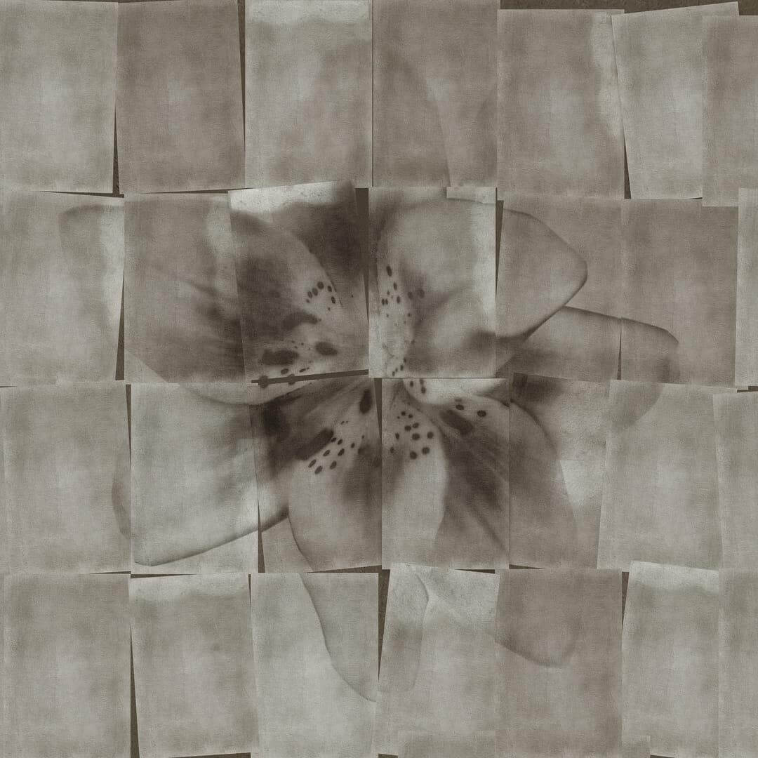 Tapeta kwiat Wall&Deco WDSI2201 S'il vous plait Contemporary 2022