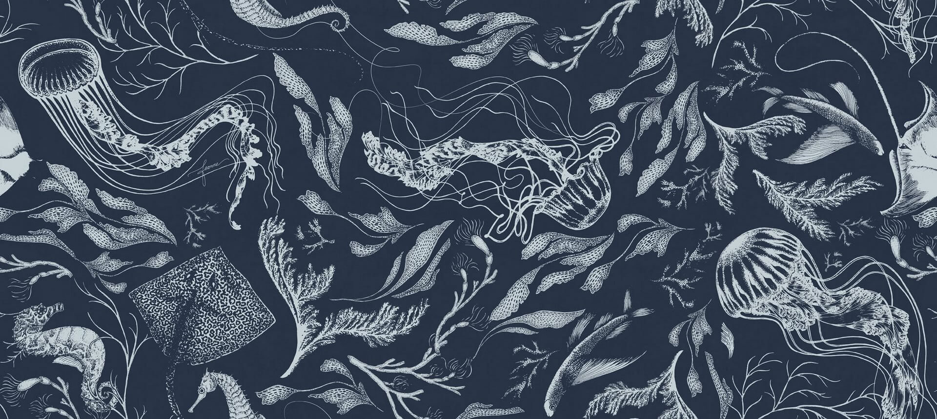 Fototapeta morskie rośliny i zwierzęta Tecnografica 73684-2 FEANNE: SEALIFE NAVY Art Collections