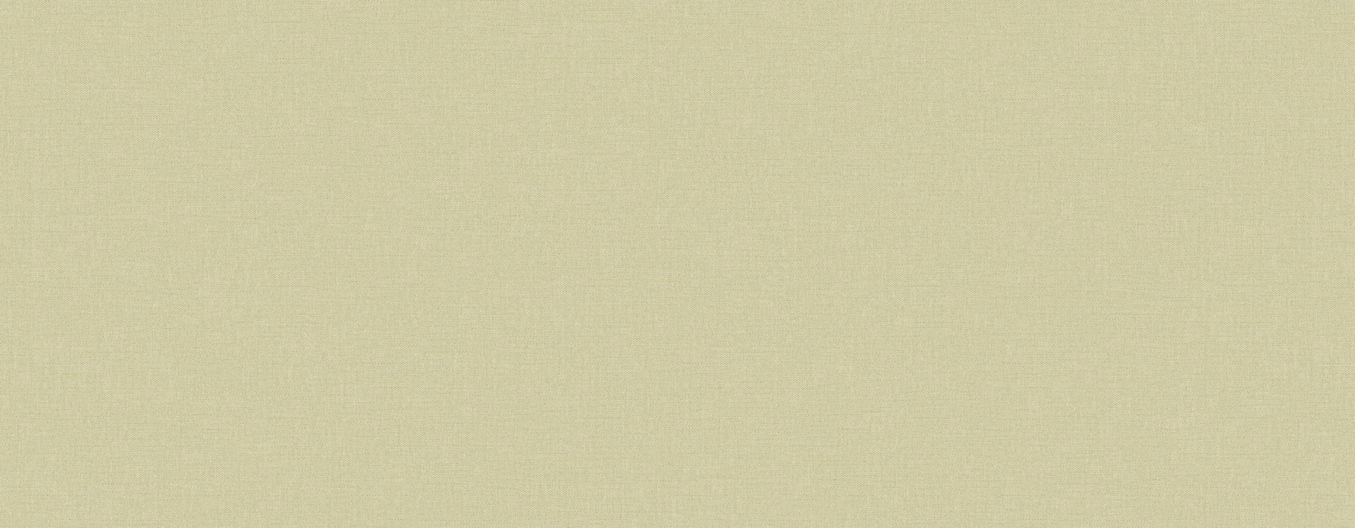 Tapeta akustyczna lniane płótno Texdecor INEN 91610421 Linen Acoustic Vinyl Wallcoverings