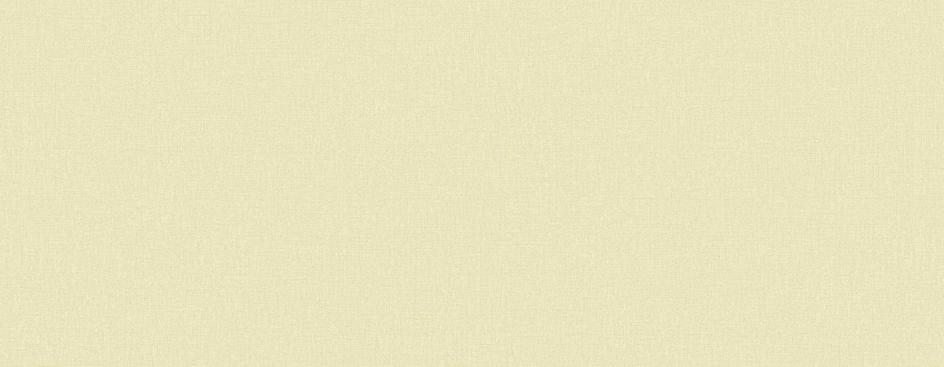 Tapeta akustyczna lniane płótno Texdecor INEN 91610491 Linen Acoustic Vinyl Wallcoverings