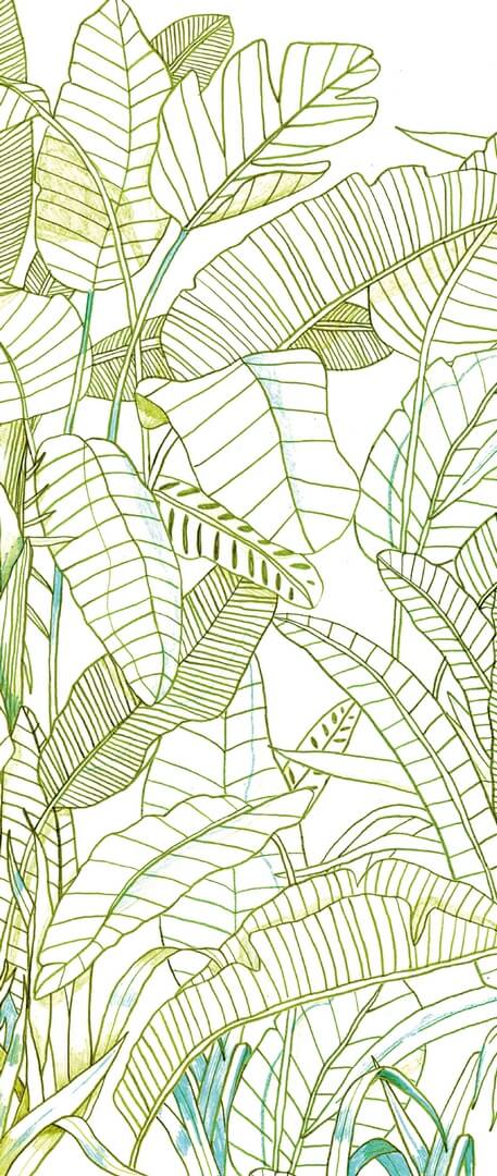 Mural liście bananowca Khroma DG3GRA1013 Grafite Wall Designs III