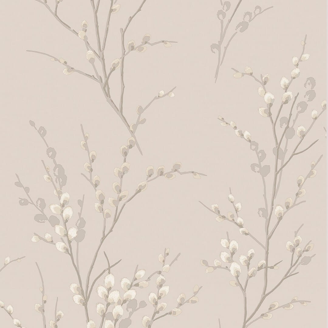 Tapeta bazie wierzbowe Laura Ashley 113361 Pussy Willow Volume I