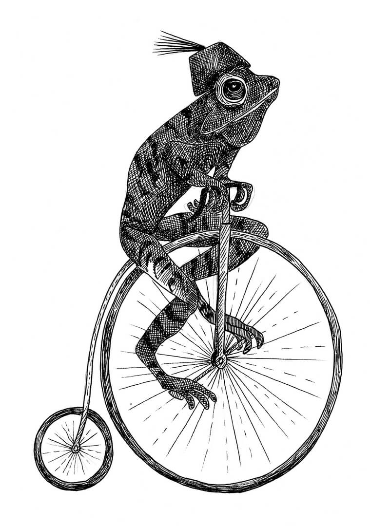 Fototapeta cyrkowe zwierzęta Rebel Walls R18202 Circus Animal Franky Wonder World