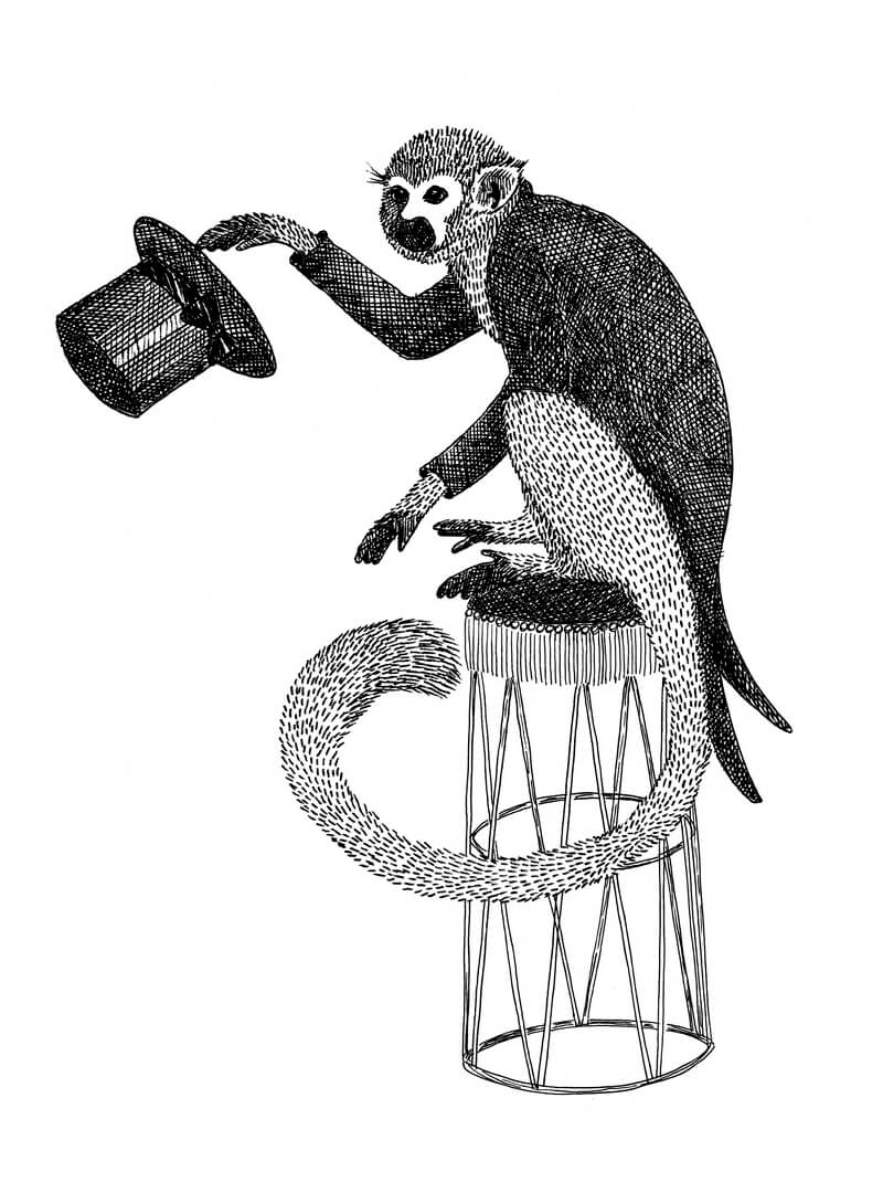 Fototapeta cyrkowe zwierzęta Rebel Walls R18205 Circus Animal Mr Monkey Wonder World