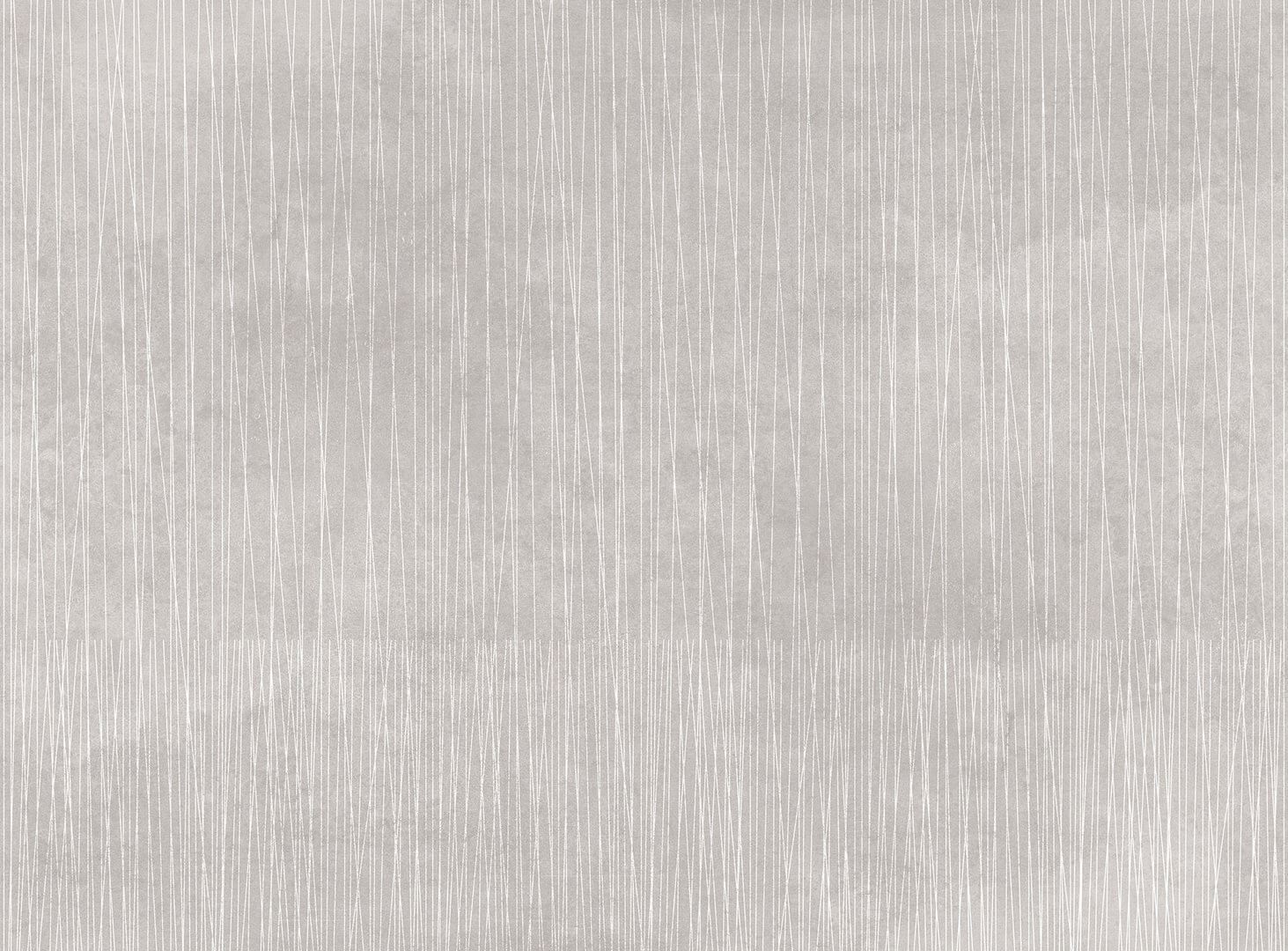 Fototapeta linie Tecnografica 74216-3 Paolo Giordano & Simona Cardinetti: SELVAGGIA GREY Art Collections