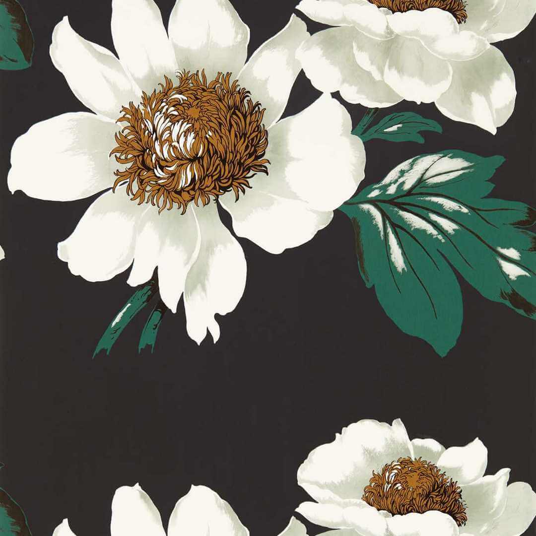 Tapeta kwiaty piwonie Harlequin 112841 Paeonia Colour II