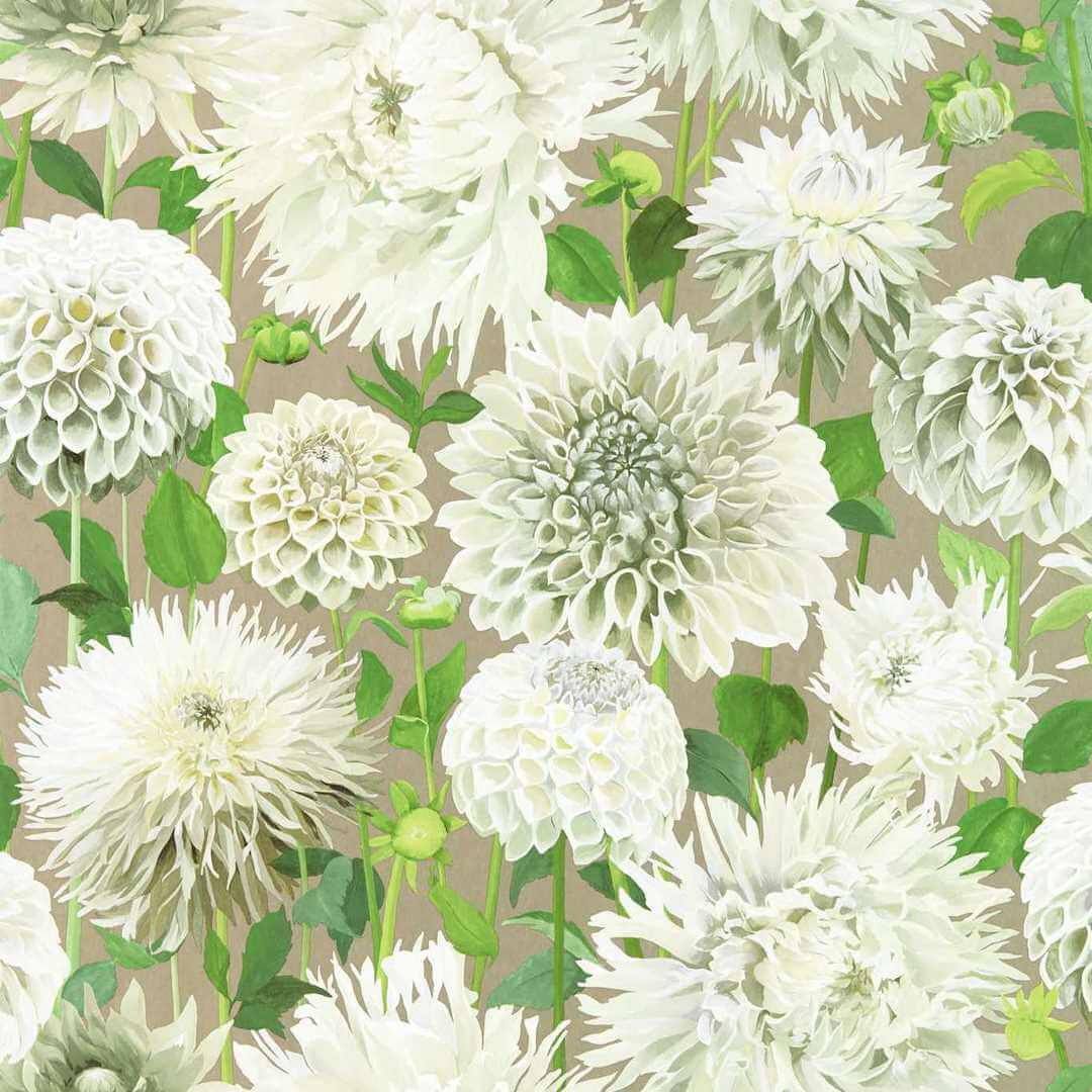 Tapeta kwiaty dalii Harlequin 112844 Dahlia Colour II