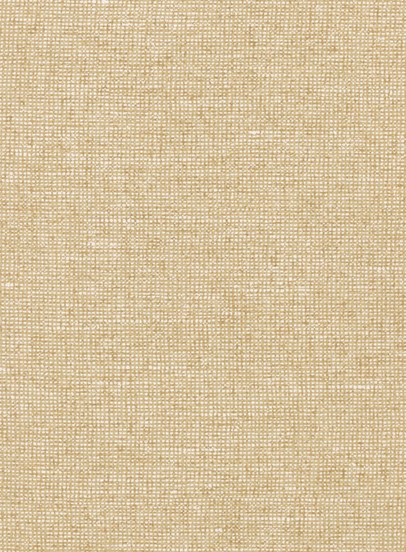 Tapeta płótno Arte 91504B Chanderi Palette Essentials