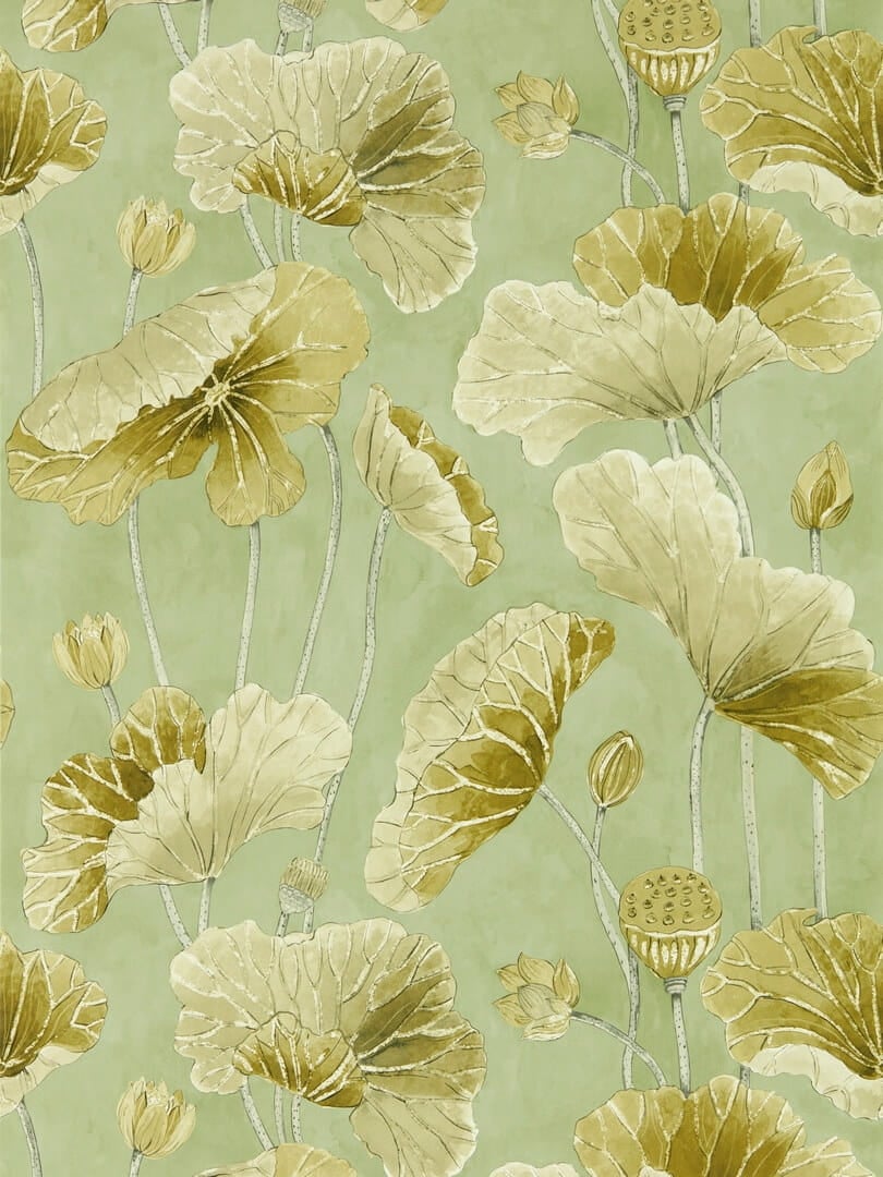Tapeta liście lotosu Sanderson 217126 Lotus Leaf Water Garden