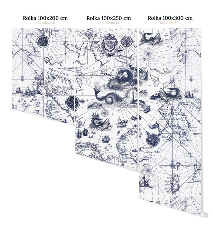 Mural mapa oceanu Wallcolors Ocean Map Medicine