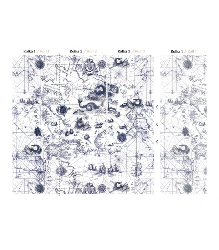 Mural mapa oceanu Wallcolors Ocean Map Medicine