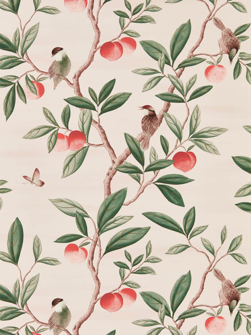 Tapeta ptaki i owoce chinoiserie Harlequin 112907 Ella Diane Hill