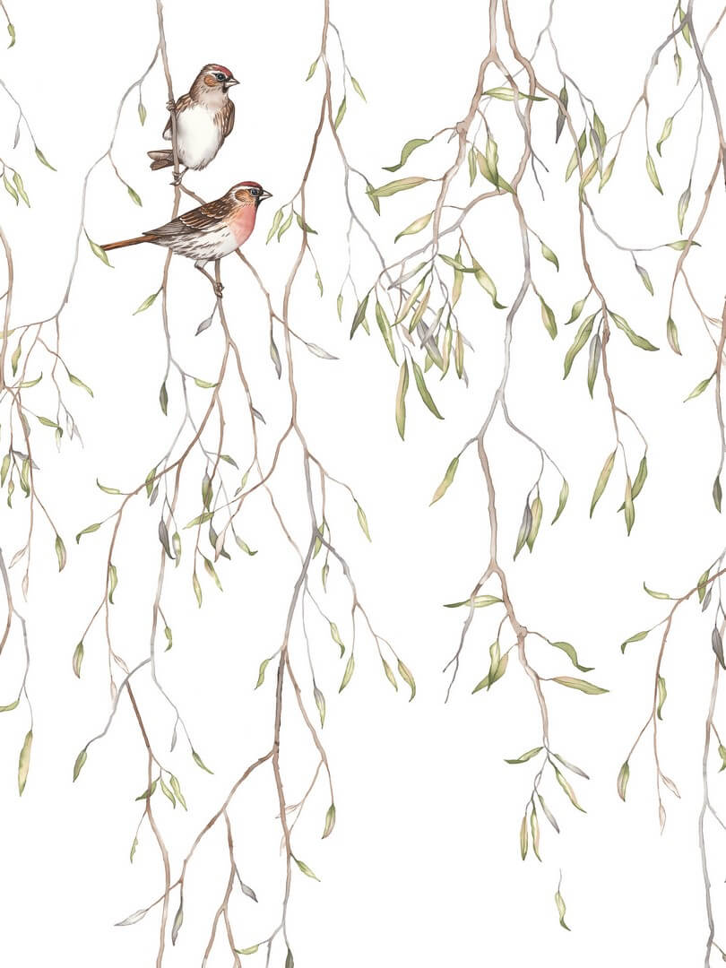 Mural ptaki i gałęzie Boras Tapeter Studio Spring Birds 9447W
