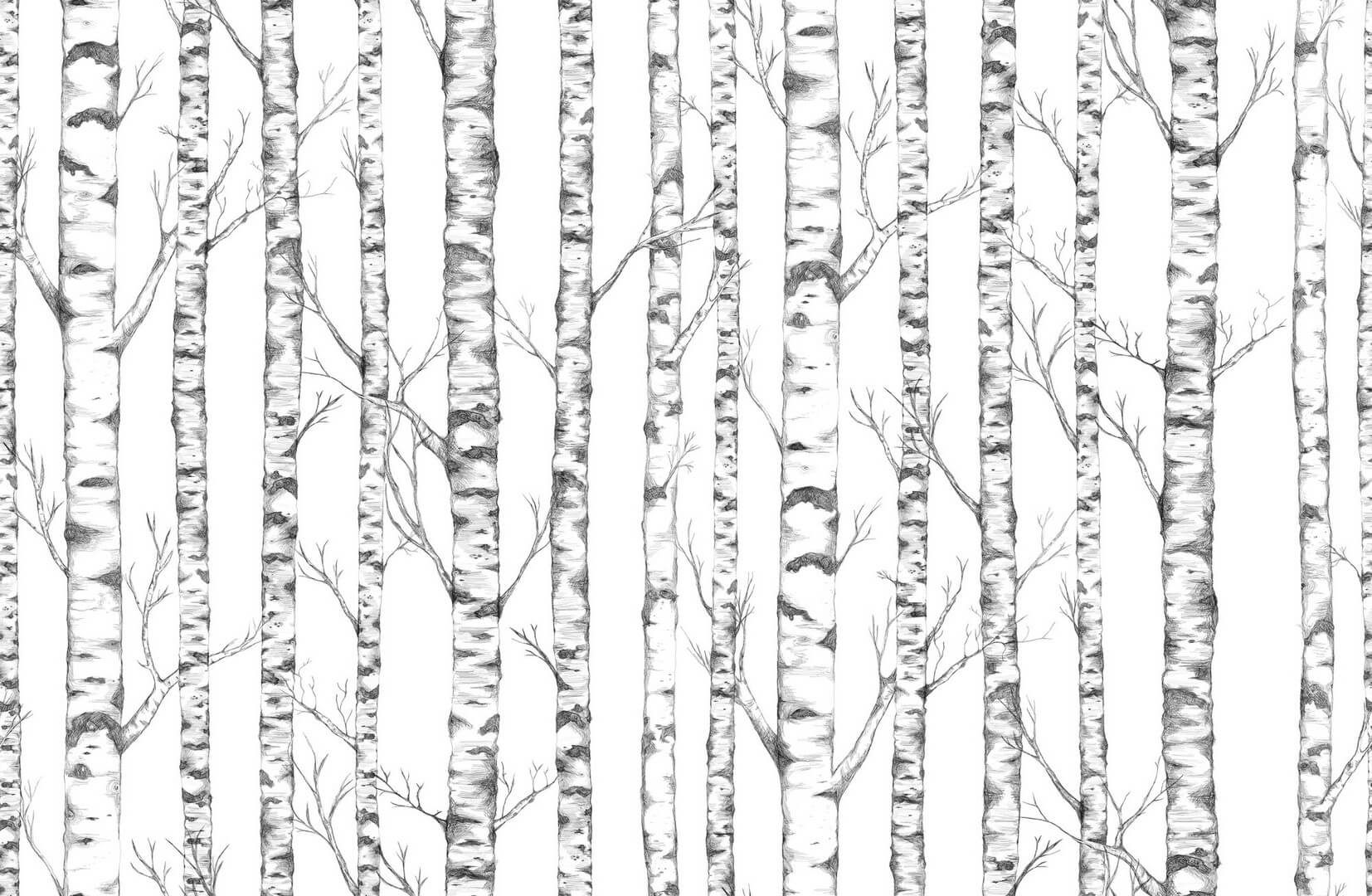 Mural brzozy Boras Tapeter Studio Tree 9451W