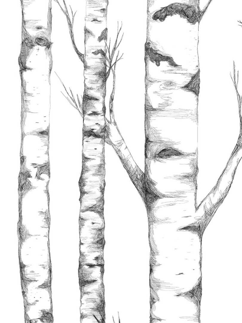 Mural brzozy Boras Tapeter Studio Tree 9451W