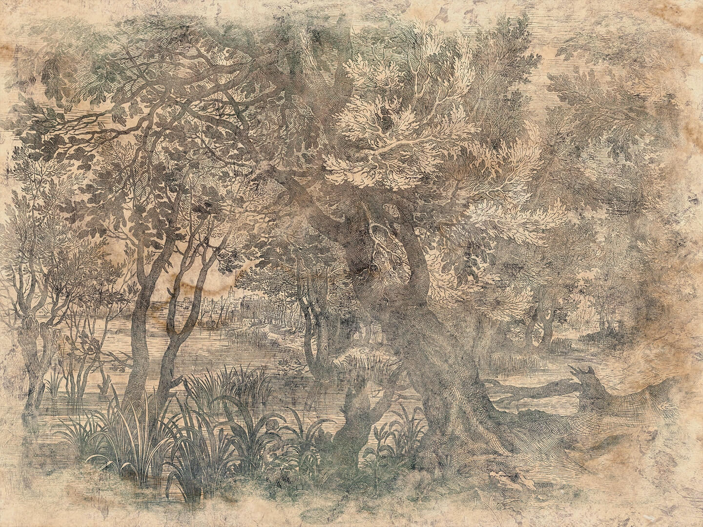 Fototapeta botaniczny krajobraz Wallcraft Elav 605312201